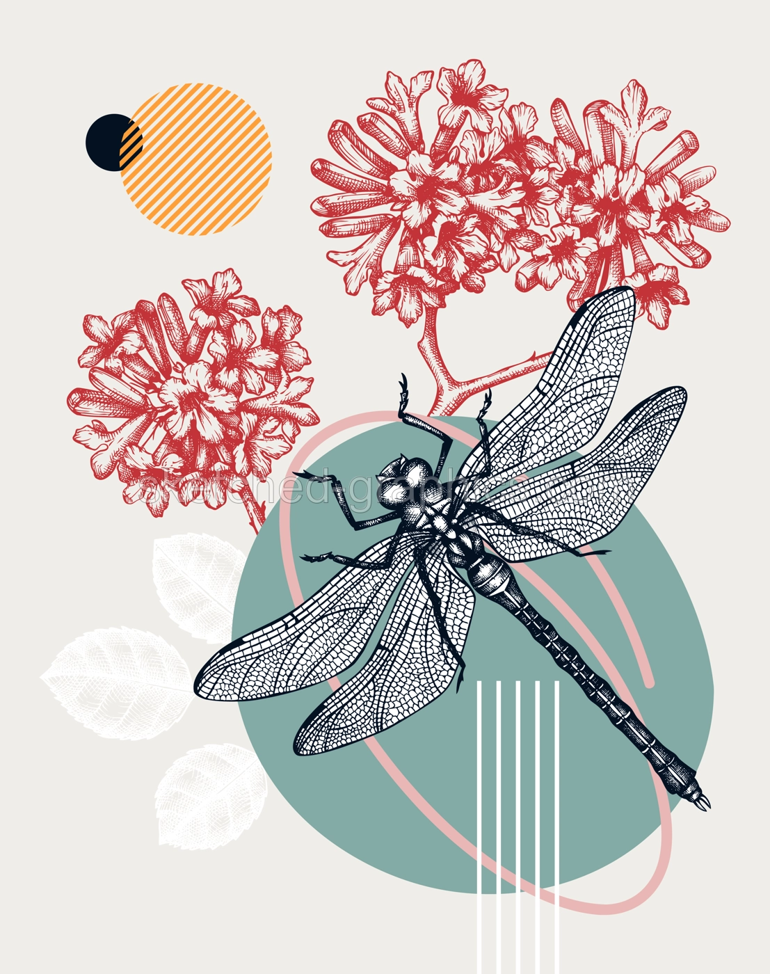 Collage style dragonfly vector illustration. Hand-sketched insect on Pink trumpet tree. Trendy design with floral, geometric shapes, abstract elements. Perfect for print, poster, card, wall art. Illustration